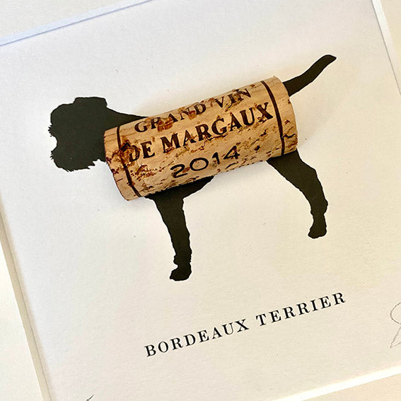Border Terrier: Bordeaux Terrier