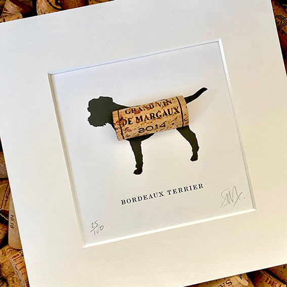 Border Terrier: Bordeaux Terrier