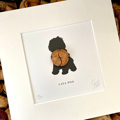 Cavapoo: Cava Poo