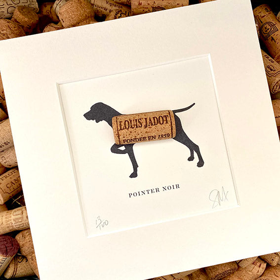 German Short-Haired Pointer: Pointer Noir