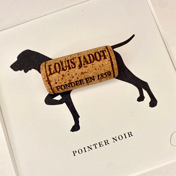 German Short-Haired Pointer: Pointer Noir