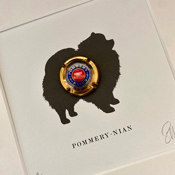 Pomeranian: Pommery-nian