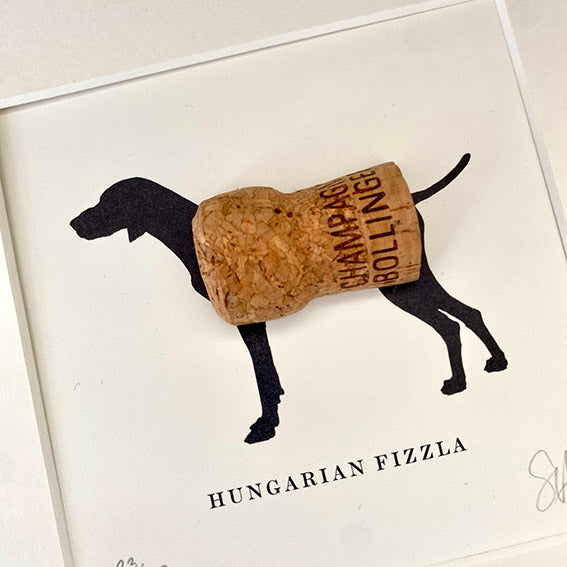 Hungarian Vizla: Hungarian Fizzla